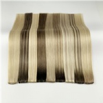 European Hair High End Quality